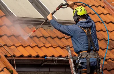 Démoussage et hydrofuge de toiture à Sagelat
